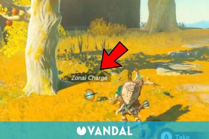 El gameplay de Zelda: Tears of the Kingdom esconde un detalle que enloquece a lles fans