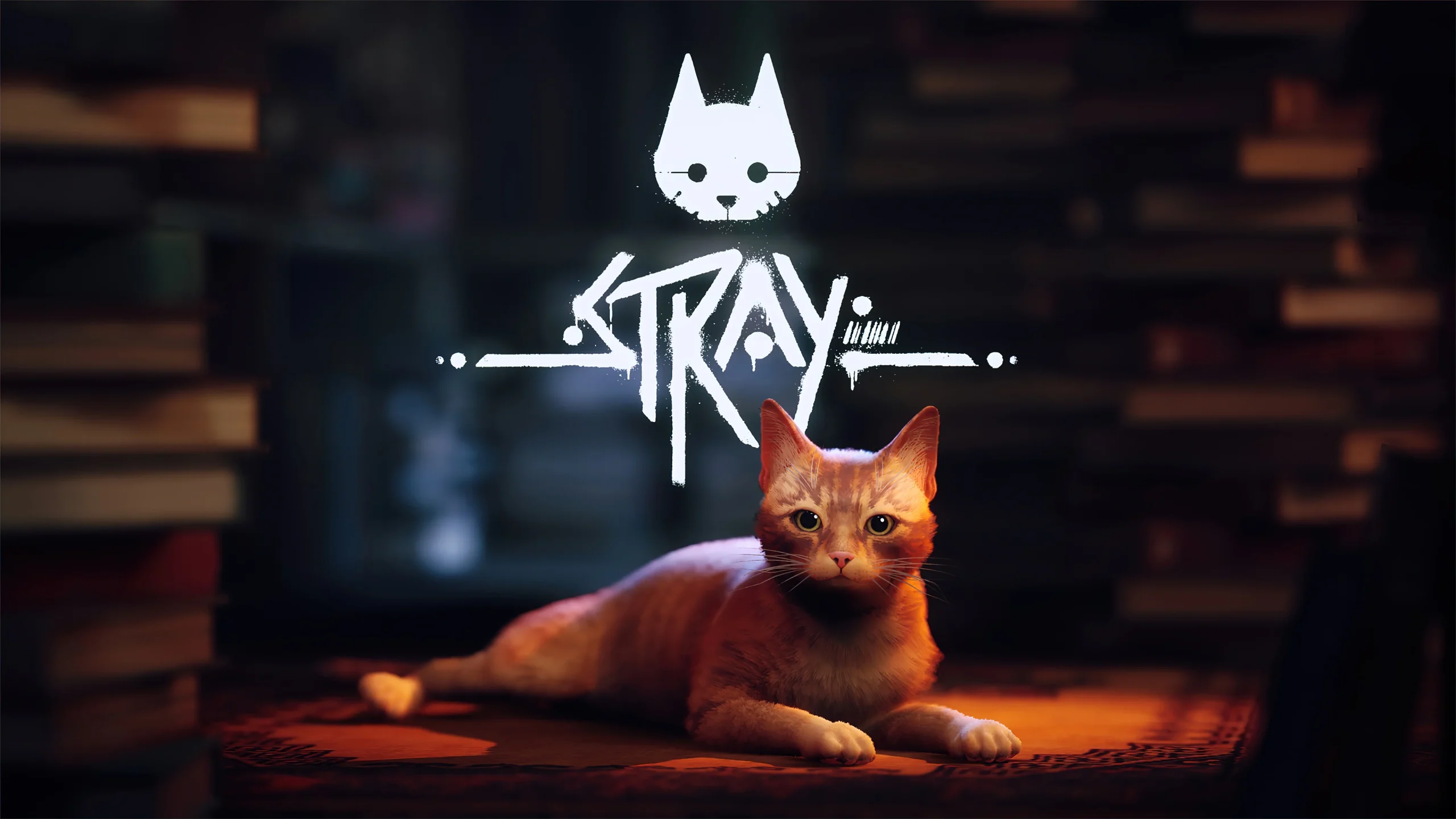 'Stray', el gato que un dia llego a Xbox - Generacion Xbox
