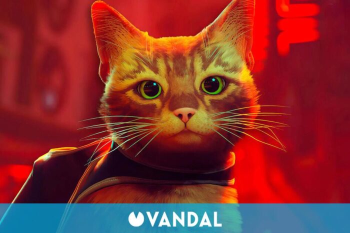 Si te gusto Stray, el juego del gato ciberpunk, tenemles buenas noticias: Este indie tendra su propia pelicula de animacion